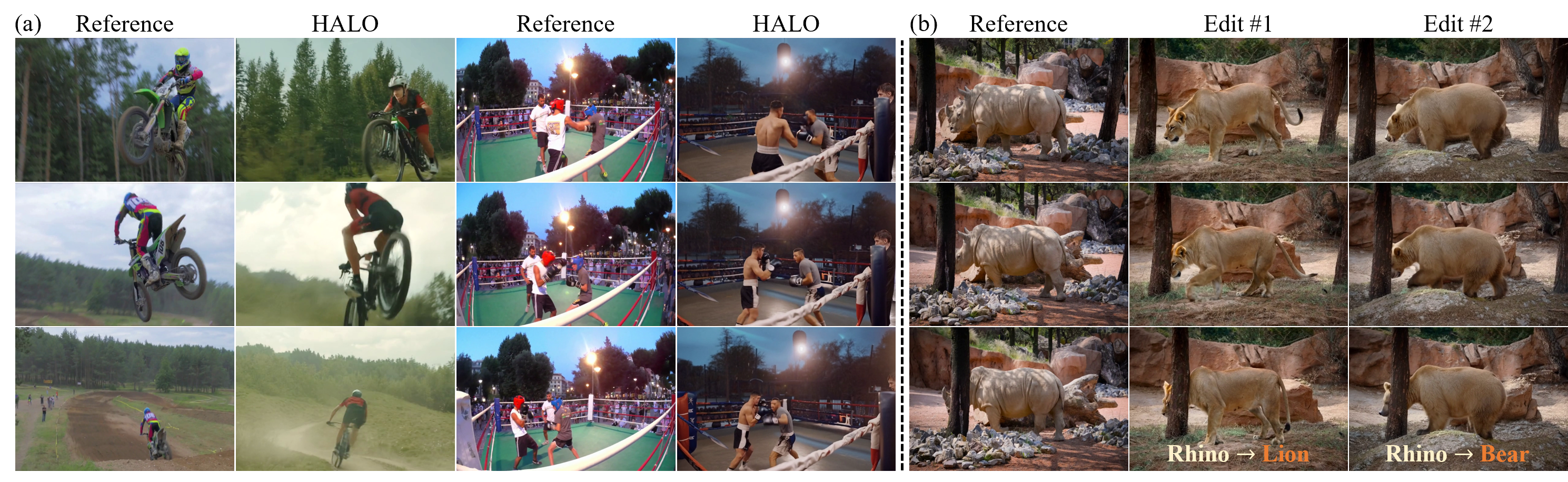 Additional qualitative motion transfer results by HALO