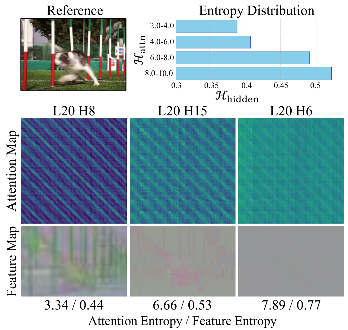 Structure-specialized attention heads identified via attention entropy